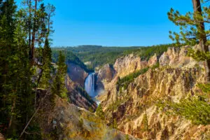 Yellowstone lower falls in yellowstone national park