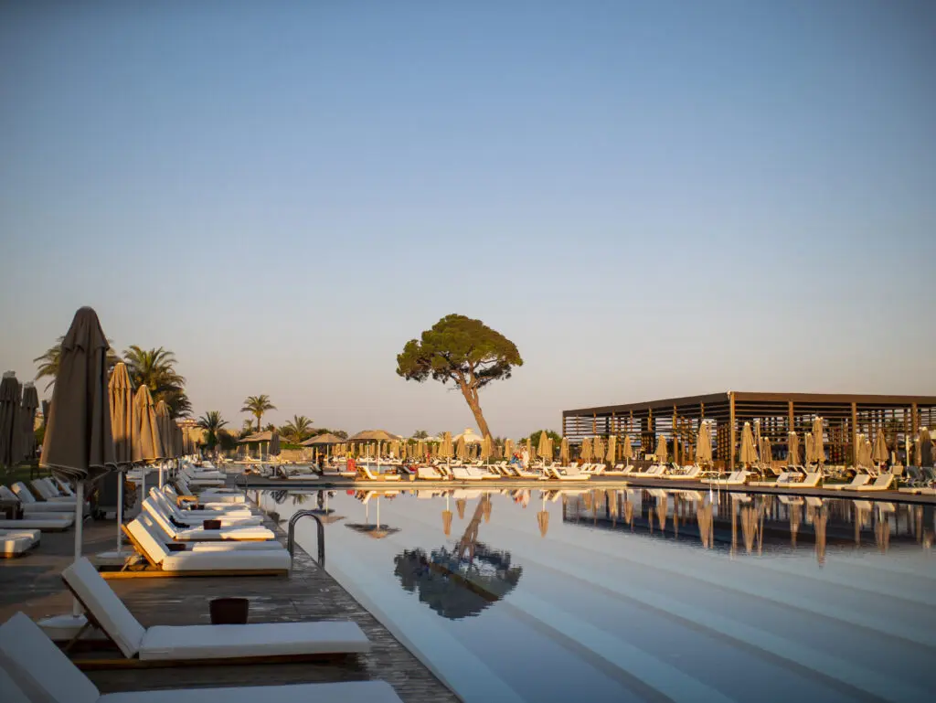 Swimming pool in a luxury resort or hotel overlooking a large tree and the beach under a blue sky