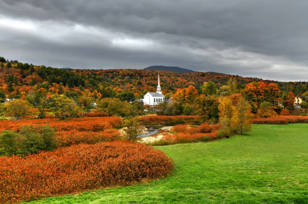 a white building in a forest
